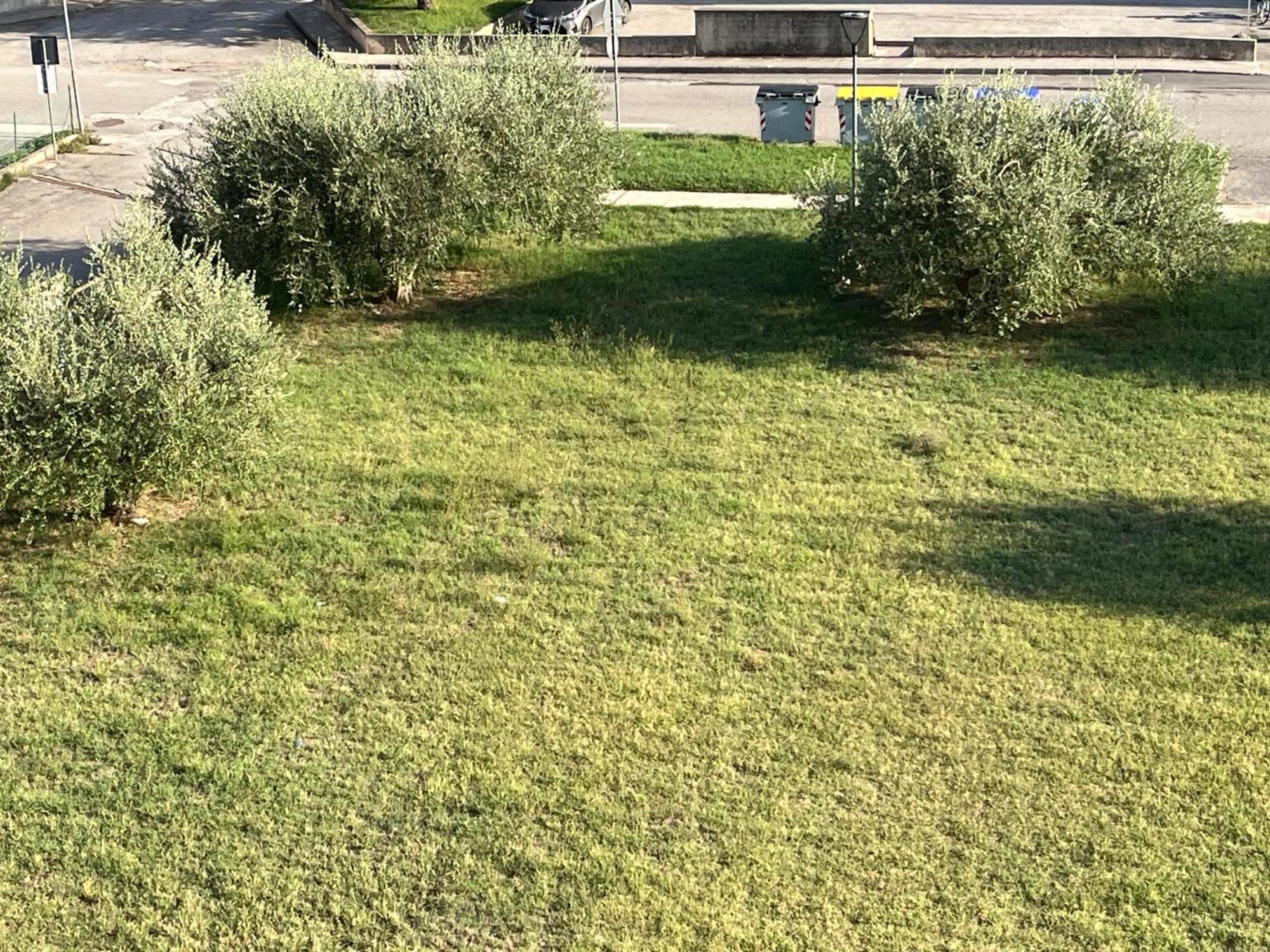 Casa Ivana Castiglione del Lago Eksteriør bilde